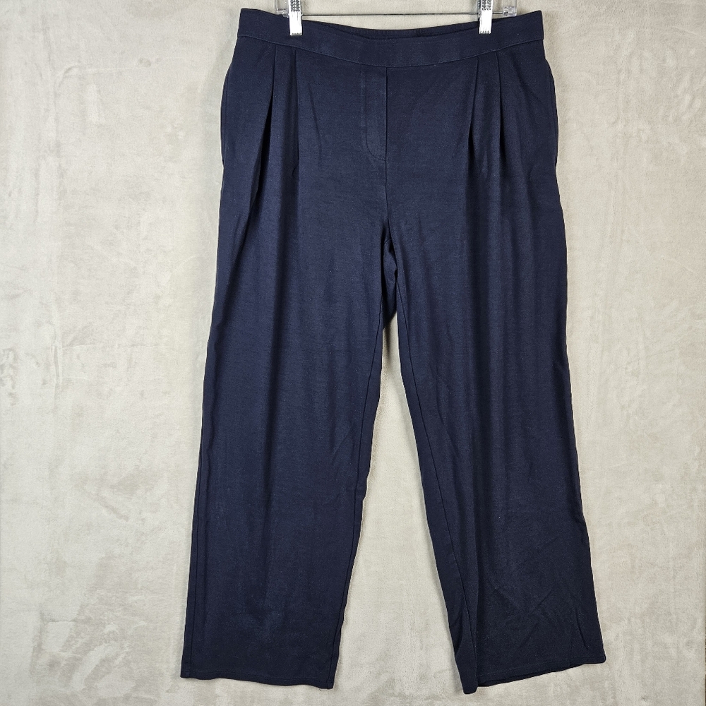 J. Jill Wearever Collection Women's Blue Pleated Wide Leg Pockets Pants Size XL